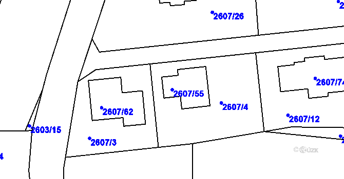 Parcela st. 2607/55 v KÚ Planá nad Lužnicí, Katastrální mapa