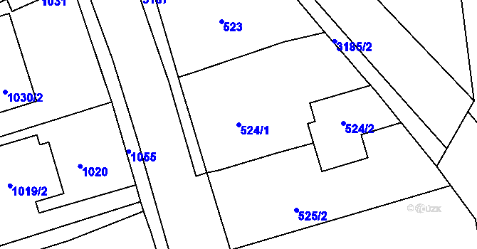 Parcela st. 524/1 v KÚ Planá nad Lužnicí, Katastrální mapa