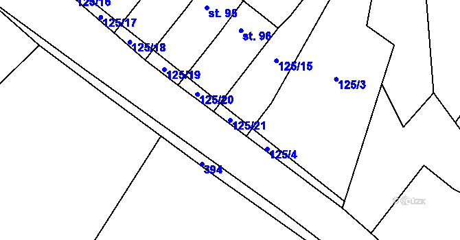 Parcela st. 125/21 v KÚ Hradenín, Katastrální mapa