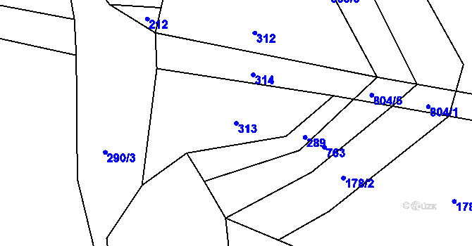 Parcela st. 313 v KÚ Žabonosy, Katastrální mapa