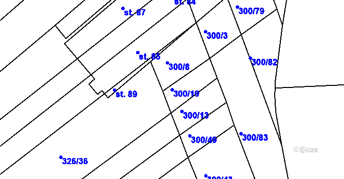 Parcela st. 300/19 v KÚ Pláně u Plas, Katastrální mapa