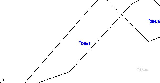 Parcela st. 245/1 v KÚ Lomnička u Plas, Katastrální mapa