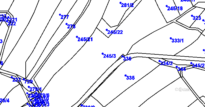 Parcela st. 245/3 v KÚ Lomnička u Plas, Katastrální mapa