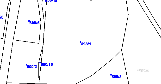 Parcela st. 598/1 v KÚ Lomnička u Plas, Katastrální mapa