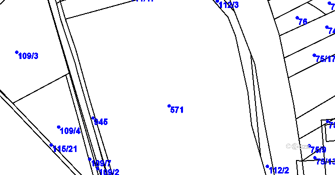 Parcela st. 111/24 v KÚ Plasy, Katastrální mapa