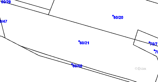 Parcela st. 60/21 v KÚ Plav, Katastrální mapa