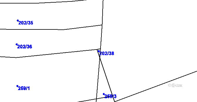 Parcela st. 202/38 v KÚ Plav, Katastrální mapa
