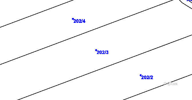 Parcela st. 202/3 v KÚ Plav, Katastrální mapa