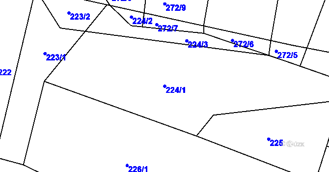 Parcela st. 224/1 v KÚ Plavy, Katastrální mapa