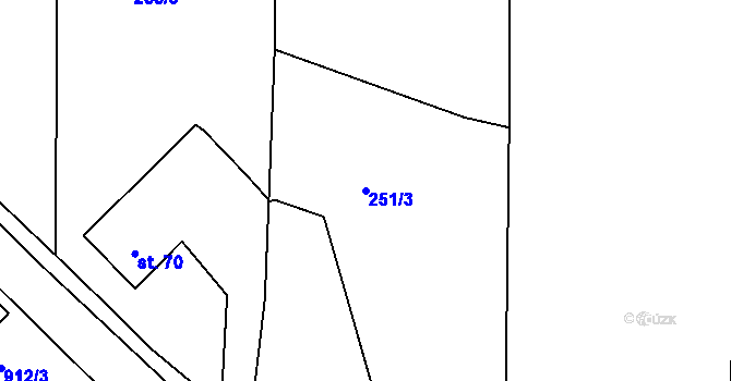 Parcela st. 251/3 v KÚ Plešnice, Katastrální mapa