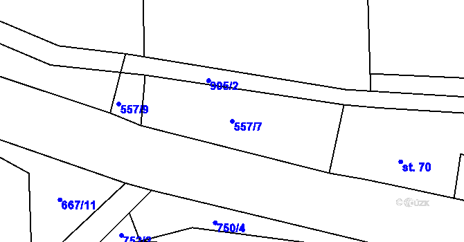 Parcela st. 557/7 v KÚ Plchov, Katastrální mapa
