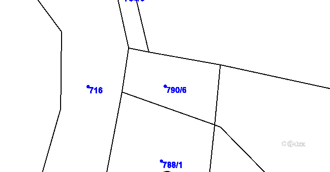 Parcela st. 790/6 v KÚ Plchov, Katastrální mapa