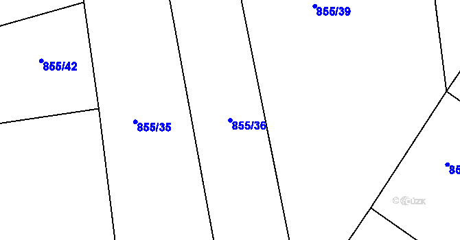 Parcela st. 855/36 v KÚ Plchov, Katastrální mapa
