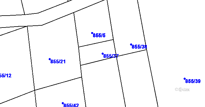 Parcela st. 855/37 v KÚ Plchov, Katastrální mapa