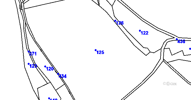 Parcela st. 125 v KÚ Těchobuzice, Katastrální mapa