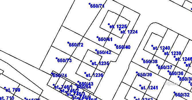 Parcela st. 650/42 v KÚ Plotiště nad Labem, Katastrální mapa