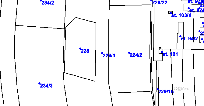 Parcela st. 229/1 v KÚ Plužná, Katastrální mapa