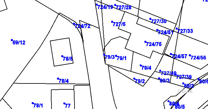 Parcela st. 79/3 v KÚ Božkov, Katastrální mapa