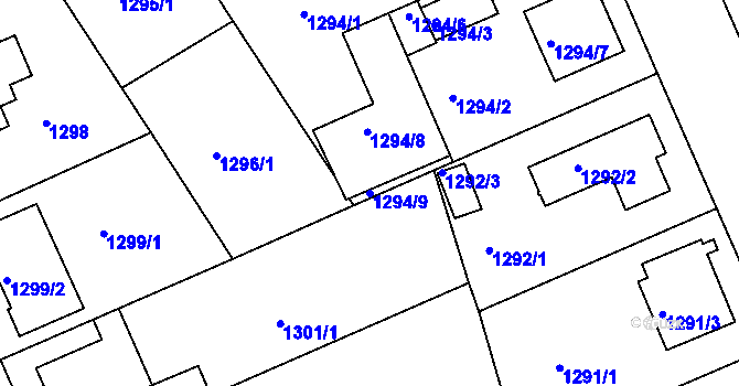 Parcela st. 1294/9 v KÚ Bručná, Katastrální mapa