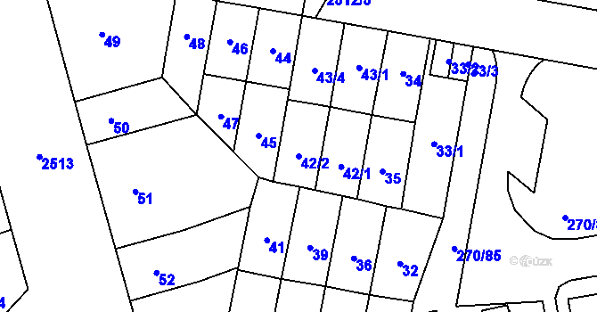 Parcela st. 42/2 v KÚ Skvrňany, Katastrální mapa