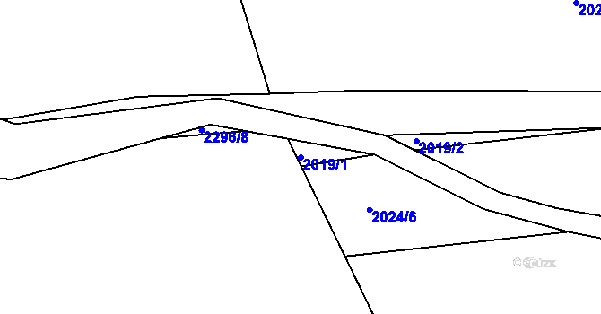 Parcela st. 2019/1 v KÚ Litice u Plzně, Katastrální mapa