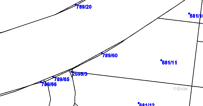 Parcela st. 789/60 v KÚ Litice u Plzně, Katastrální mapa