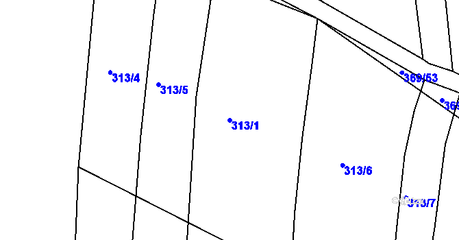 Parcela st. 313/1 v KÚ Litice u Plzně, Katastrální mapa