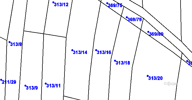 Parcela st. 313/16 v KÚ Litice u Plzně, Katastrální mapa