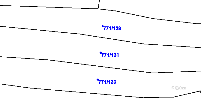 Parcela st. 771/131 v KÚ Pňovany, Katastrální mapa