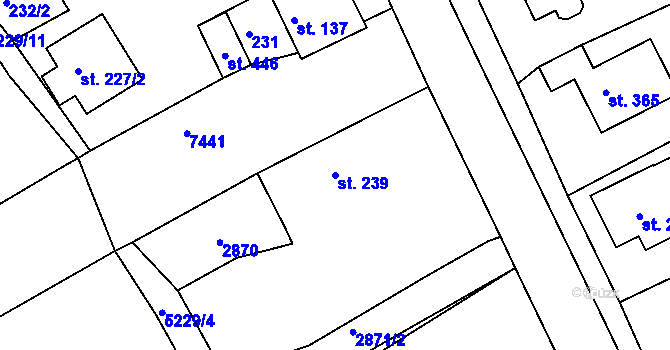 Parcela st. 239 v KÚ Pocinovice, Katastrální mapa
