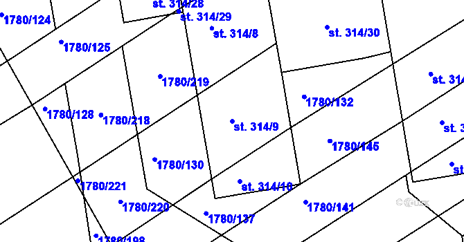 Parcela st. 314/9 v KÚ Pocinovice, Katastrální mapa