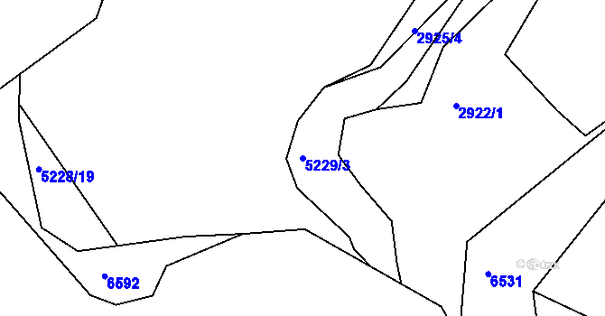 Parcela st. 5229/3 v KÚ Pocinovice, Katastrální mapa