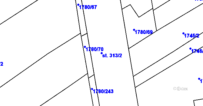 Parcela st. 313/2 v KÚ Pocinovice, Katastrální mapa