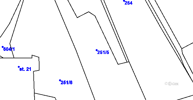 Parcela st. 251/5 v KÚ Léskovec, Katastrální mapa