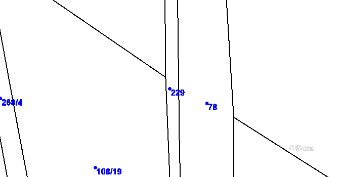 Parcela st. 229 v KÚ Polabec, Katastrální mapa