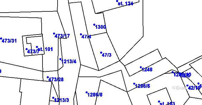 Parcela st. 47/3 v KÚ Lužnice u Pohorské Vsi, Katastrální mapa