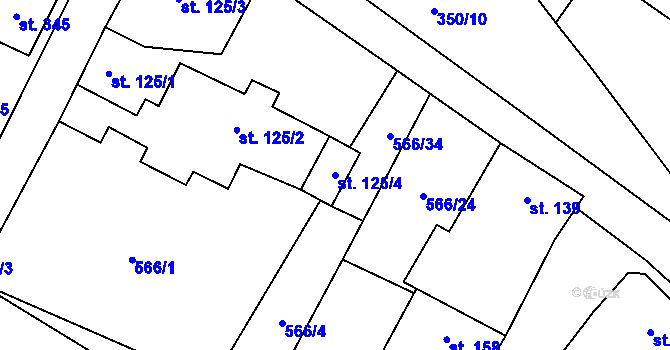 Parcela st. 125/4 v KÚ Polepy, Katastrální mapa