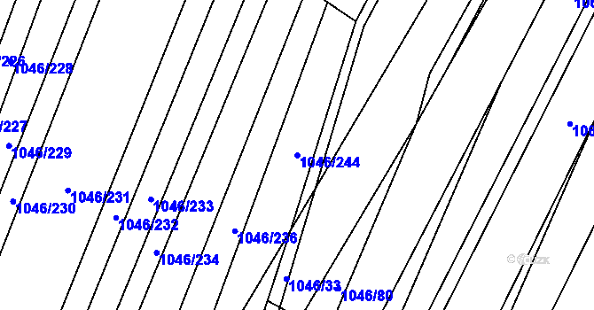 Parcela st. 1046/244 v KÚ Polepy, Katastrální mapa