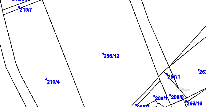 Parcela st. 256/12 v KÚ Velká Ledhuje, Katastrální mapa