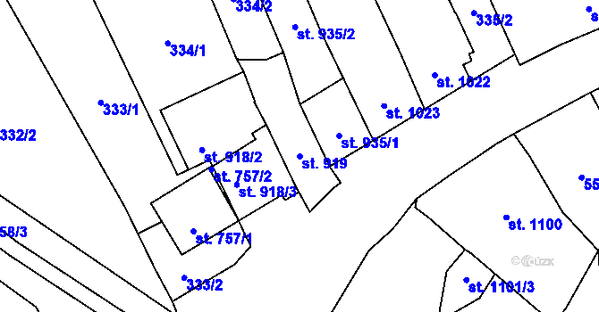 Parcela st. 919 v KÚ Polička, Katastrální mapa