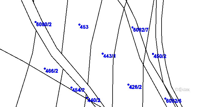 Parcela st. 443/1 v KÚ Polička, Katastrální mapa