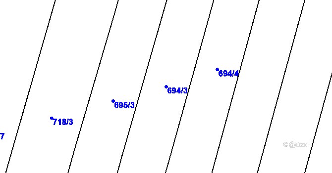 Parcela st. 694/3 v KÚ Polička, Katastrální mapa
