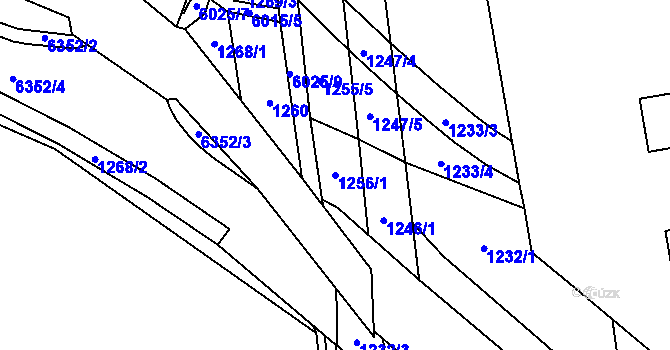 Parcela st. 1256/1 v KÚ Polička, Katastrální mapa