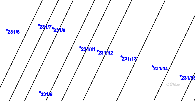 Parcela st. 231/12 v KÚ Polkovice, Katastrální mapa