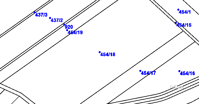 Parcela st. 454/18 v KÚ Polkovice, Katastrální mapa