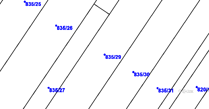 Parcela st. 835/29 v KÚ Polkovice, Katastrální mapa