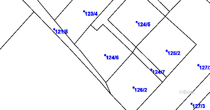 Parcela st. 124/6 v KÚ Polkovice, Katastrální mapa