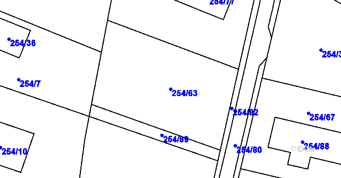 Parcela st. 254/63 v KÚ Stržanov, Katastrální mapa
