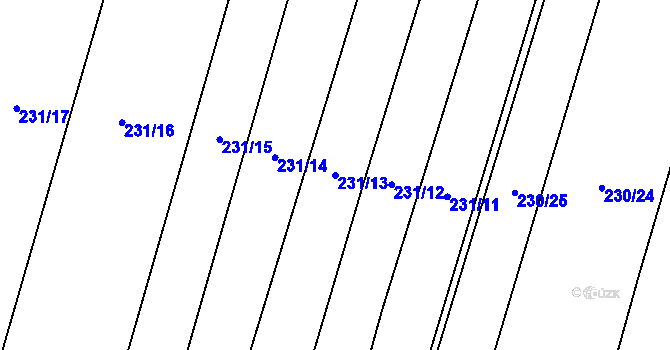 Parcela st. 231/13 v KÚ Popůvky u Kojetína, Katastrální mapa