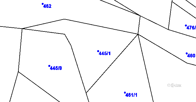 Parcela st. 445/1 v KÚ Pořešice, Katastrální mapa